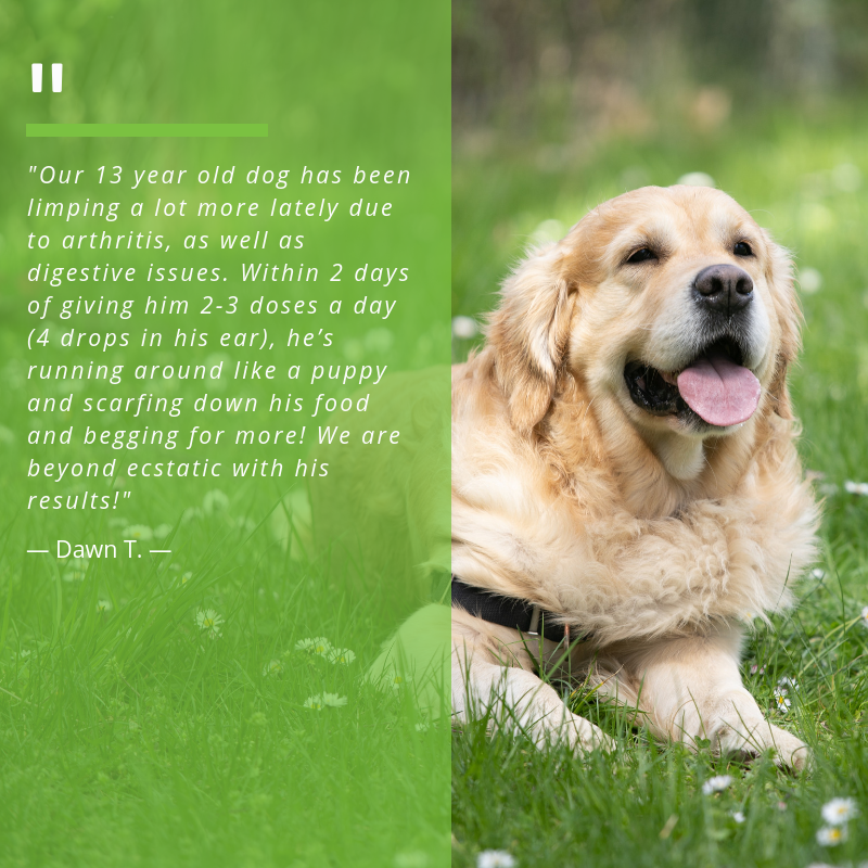 Yes!  Pets get all the same benefits that we get from CBD. 

Click the link 👇 to check out our variety of pet care options. 🐕🐱

ecoexchange.shop/product-catego…