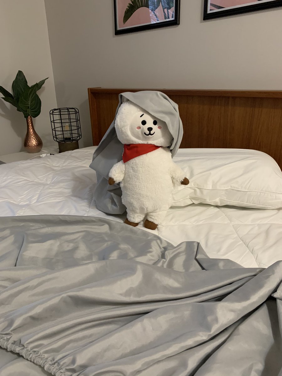 RJsDailyLife's tweet photo. don’t let RJ help make the bed.. https://t.co/OPotXuIiIV