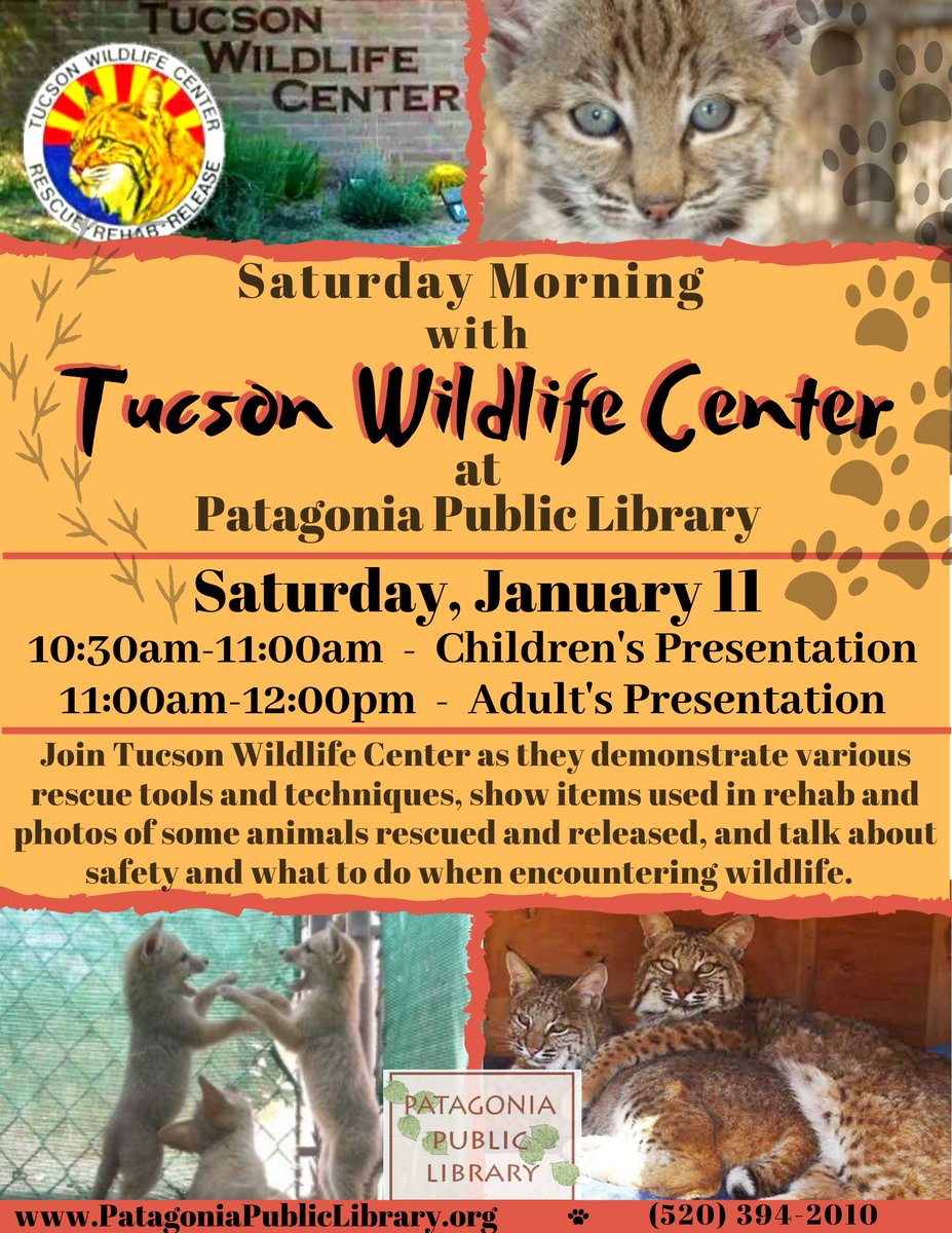 Patagonia Public Library tweet media