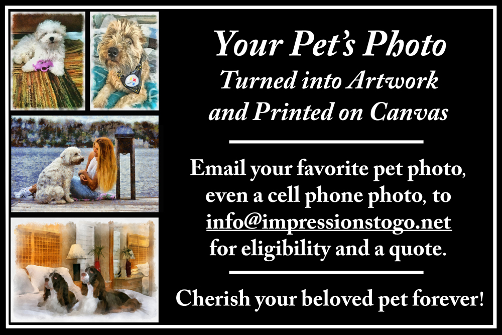 ImagesToGo's tweet image. 