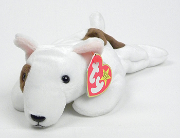 Butch the bull terrier