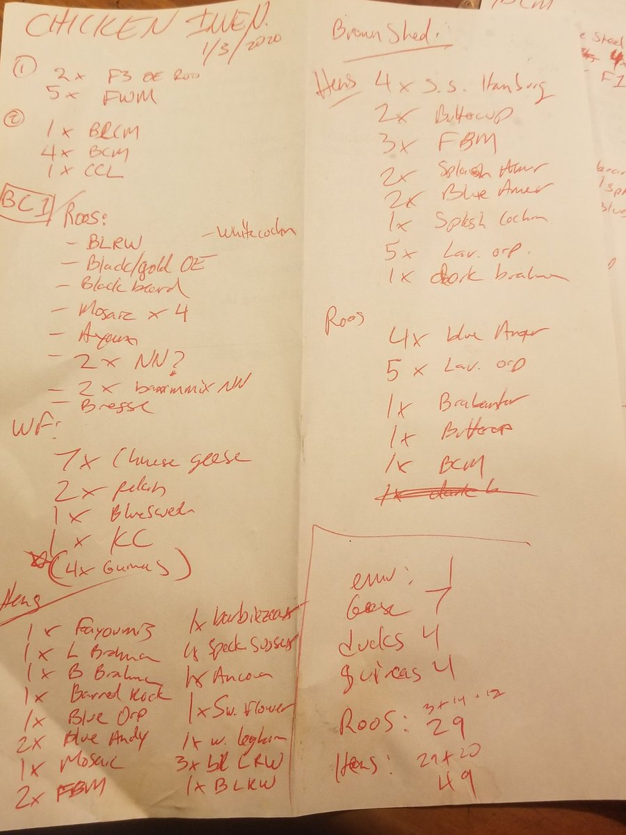 StoneMtnFarms's tweet image. .@ACShilton I counted... never count 😳😬 #chickenmath