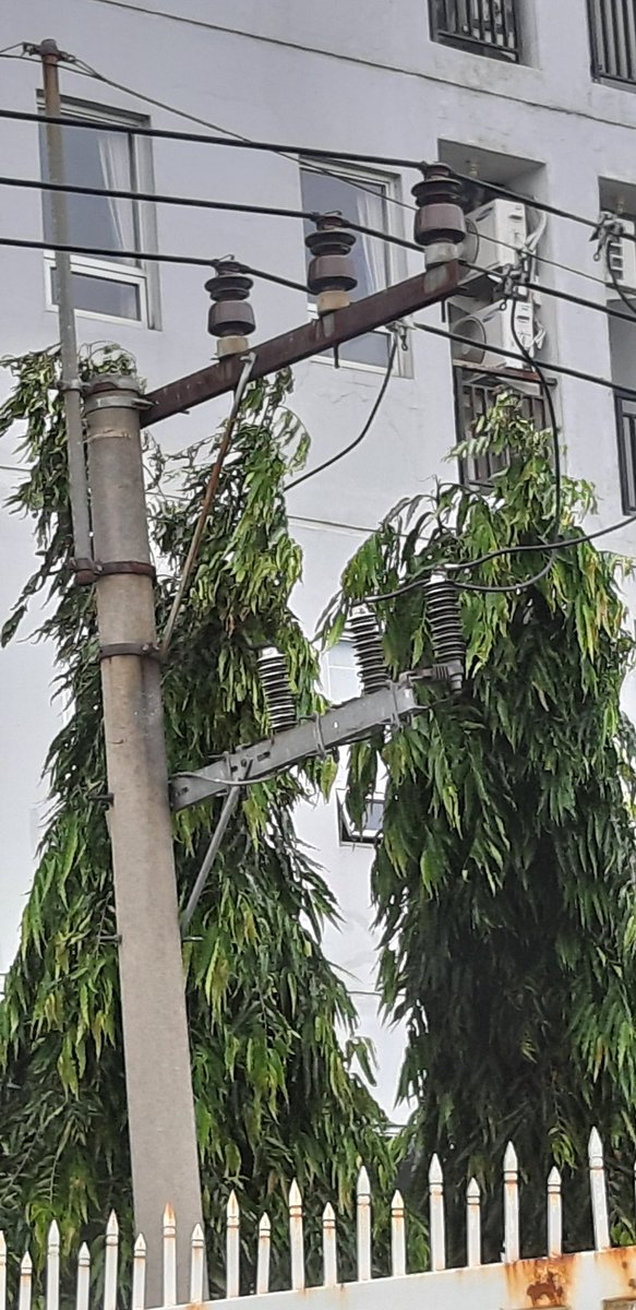 mc_riccy's tweet photo. Listrik padam di IKIP Gunung Anyar, 2 kali meledak kena pohon Apart. Purimas menempel kabel @pln_123 @e100ss https://t.co/7YYyEASKDC