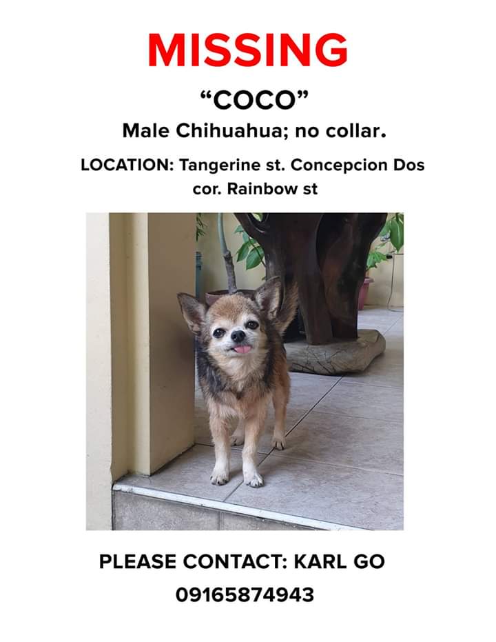 Kawlitows tweet media