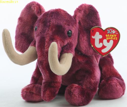 Colosso the elephant