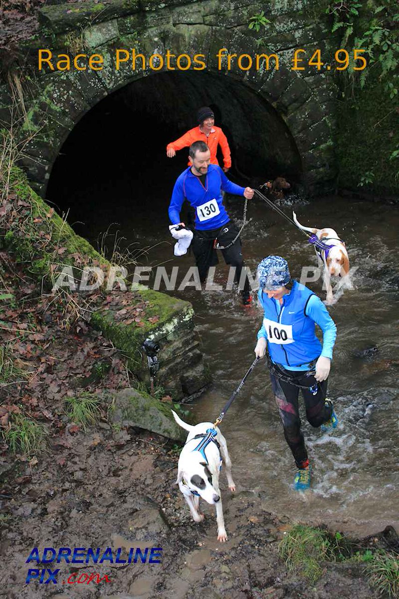 Anyone too fast to notice the un-maned tree camera at 7 Sins #TrailBlazer ? It took a photo of each &amp; every one of you!! 📷 🤣
adrenalinepix.com/race-photograp…