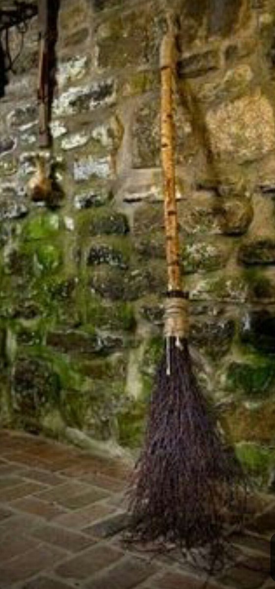 gar_manchon's tweet image. #Escoba 
“Coge la escoba de la ira y ahuyenta a la bestia del miedo”
Zora Neale Hurston