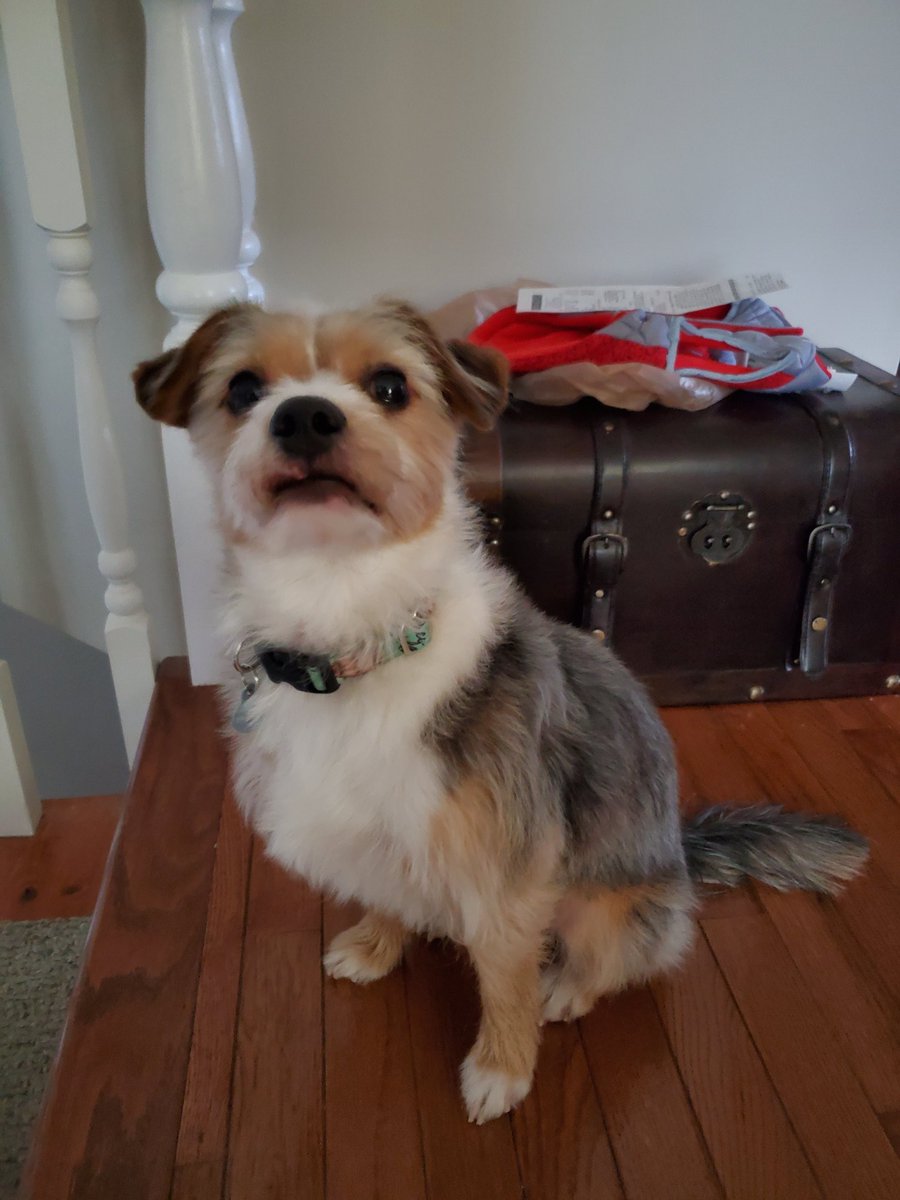 karlee morse tweet media