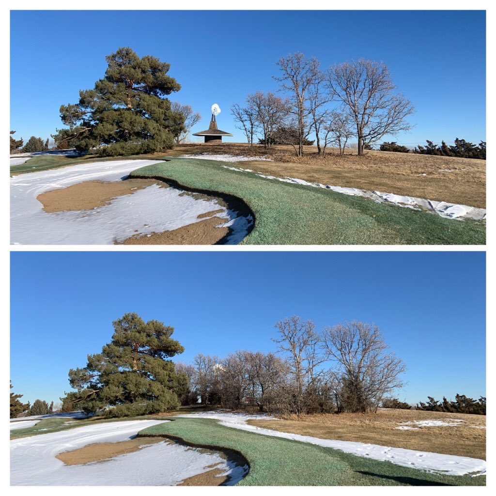 KramerTurf's tweet photo. Less is more sometimes. #projectszn https://t.co/EbQb1ttg87