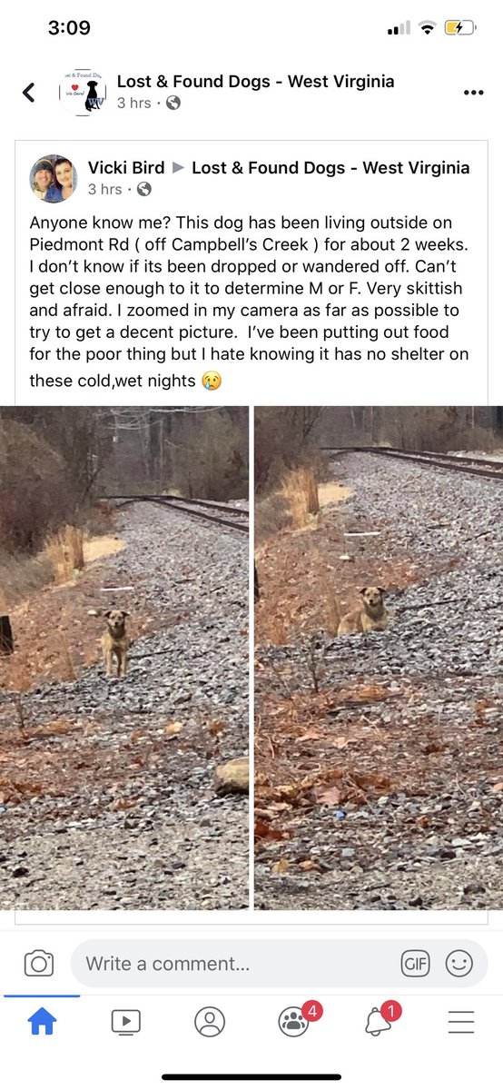 jadebrie2's tweet photo. UPDATE TO ANYONE STILL FOLLOWING THIS: very likely that this is her! my family is driving there right now bc it looks exactly like her so fingers crossed https://t.co/p1j7nFDKqo