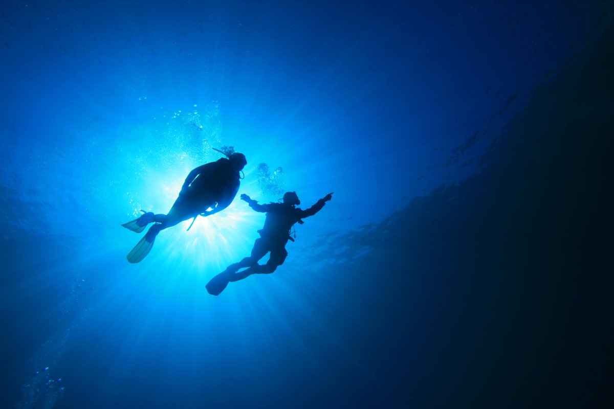 DEMAorg's tweet photo. The 2019 DEMA Annual Report is now available online. Check it out to see what the association has been up to throughout the year! https://t.co/6g41DoB36h
#DEMA #DEMAShow #Scuba #ScubaDiving #Diving #DEMAMember #ScubaBusiness #DivingBusiness #DivingIndustry #ScubaIndustry https://t.co/F40NdKA8vb