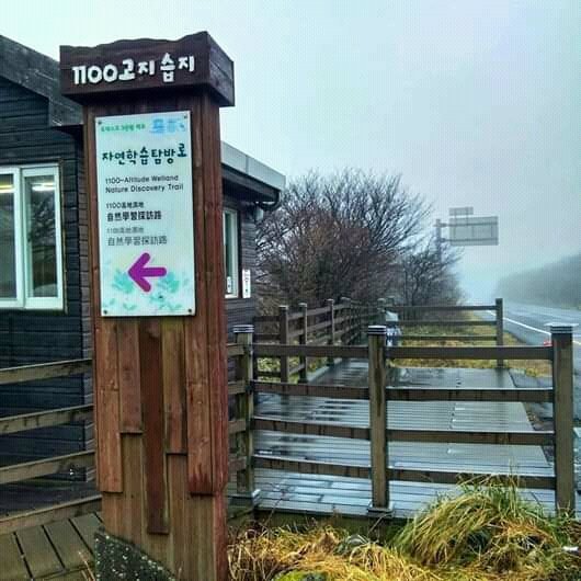 minicopper0ren's tweet photo. 1100 Altitude Wetland - Nature Discovery Trail
Pencarian salji di Halla Mountain..
Trail xpanjang nanti akan jumpa jln keluar ke parking...fun! ⛄
#triptojeju
#1100altitudewetland 
#hallamountain
#jln2tgknature https://t.co/FT36q52gAZ