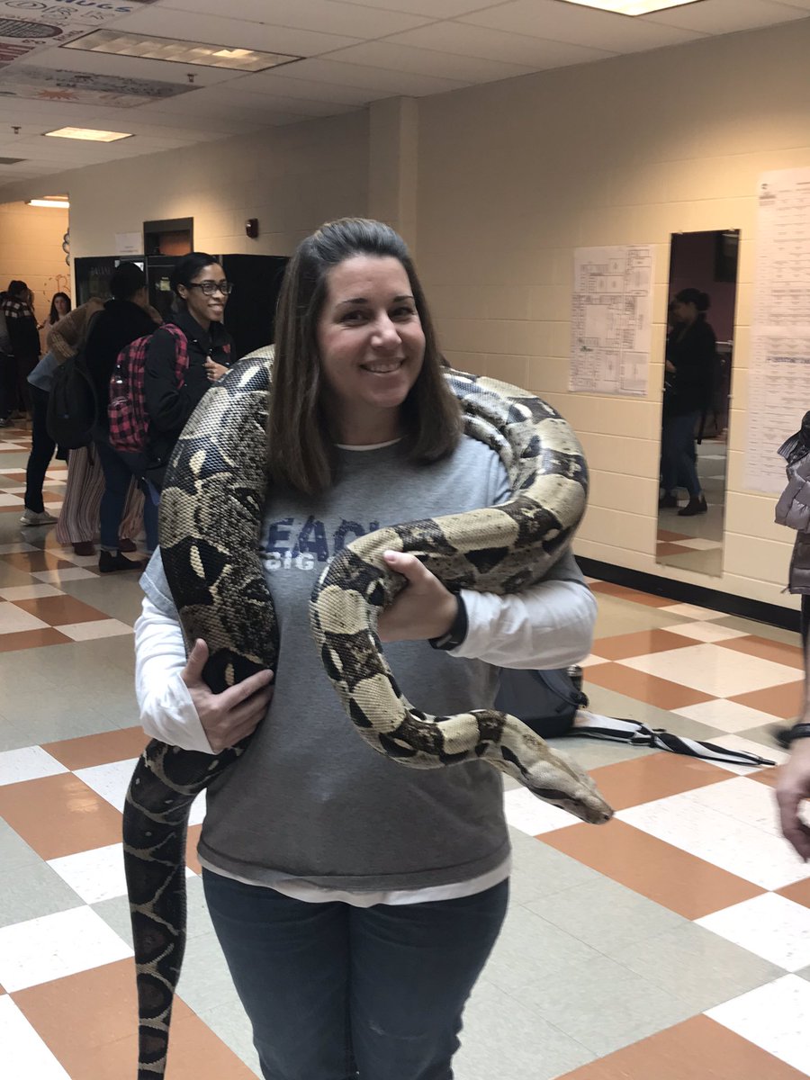 My professional learning is better than yours! Meet Brownie, the anti-bullying boa! #EngageCobb