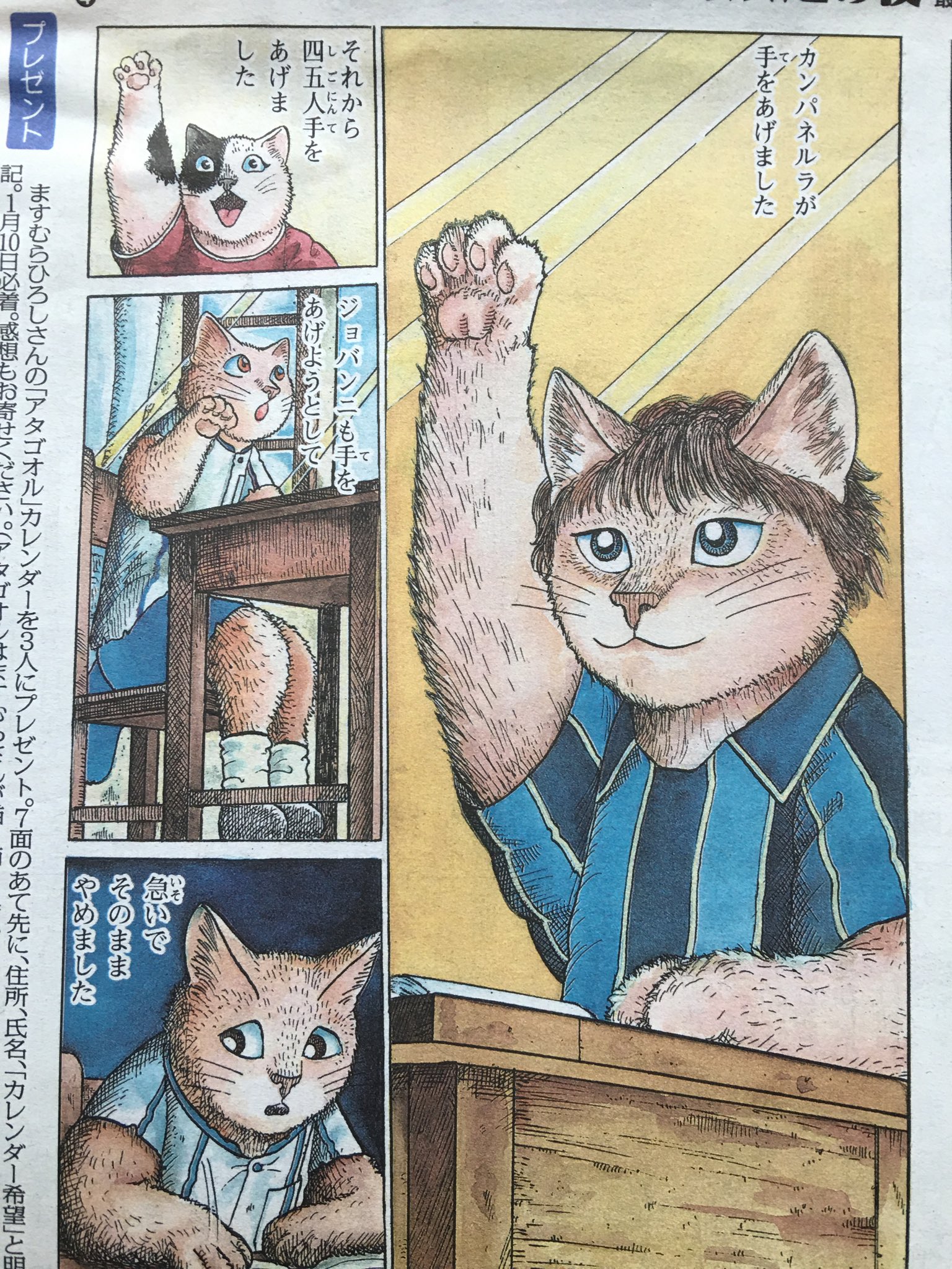 銀河鉄道の夜 ますむらひろし 猫ぬいぐるみ