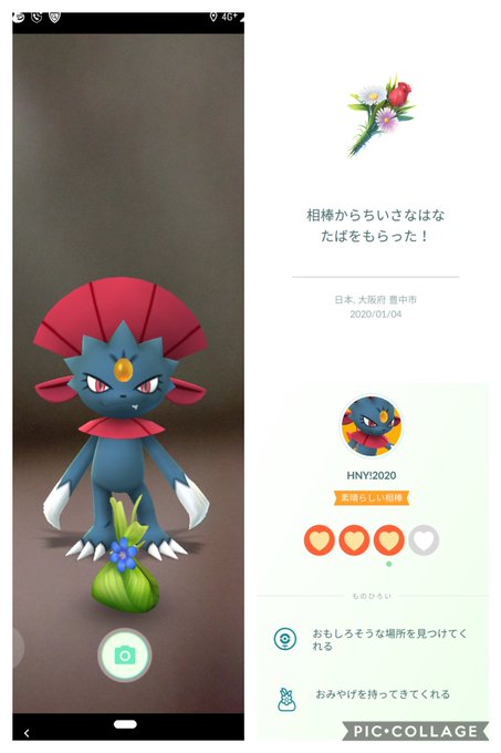 マニューラのtwitterイラスト検索結果