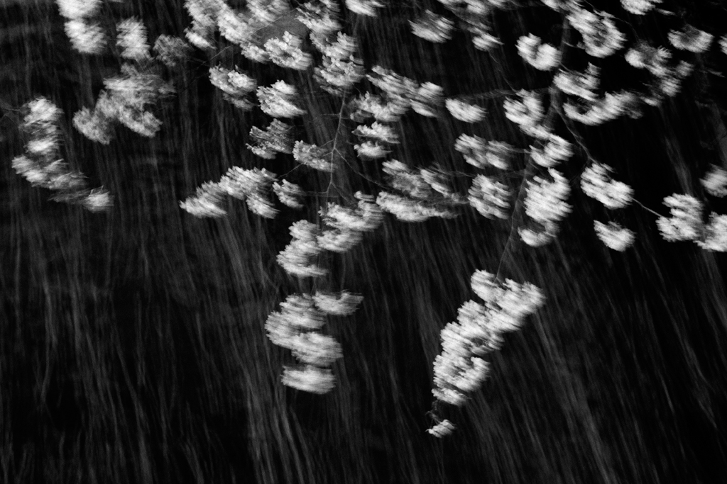 CesarOrdonez's tweet photo. "Tokyo Blur" en la exposición “Un cierto panorama, reciente fotografía de autor en España” hasta el 19 de enero en el @ccemx https://t.co/Rnslz3u74D / En esta serie Tokyo se muestra como una ciudad misteriosa, sensual y "desenfocada". Un "desenfoque" intencionadamente metafórico. https://t.co/xR5c6lCoEL