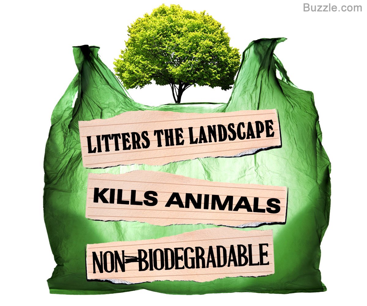 Bring_Your_Bags's tweet photo. Dear World,
Help reduce the number of harmful #PlasticBags. Please: 
1. Bring your own cloth bags when shopping. 
2. Give cloth bags to others. 
3. Share this simple idea. 
Thank you. https://t.co/NFt9oquKtv