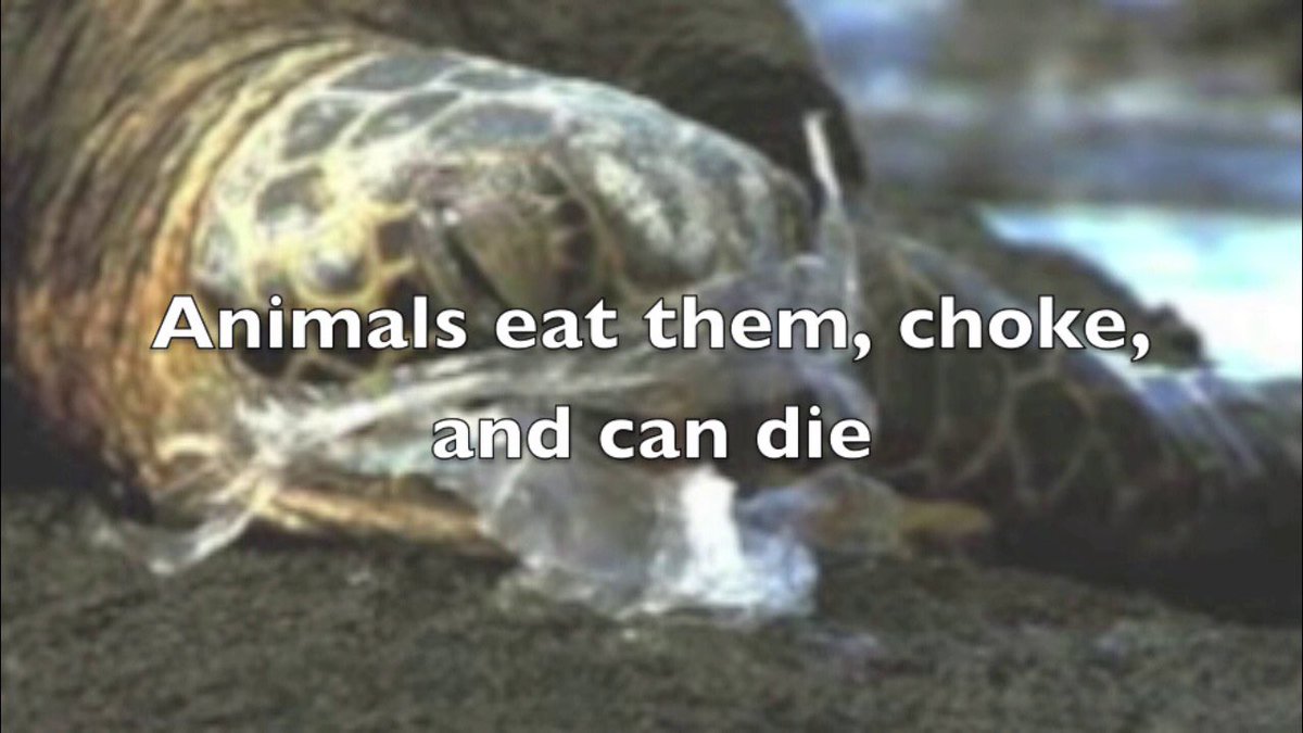 Bring_Your_Bags's tweet photo. Dear World,
Help reduce the number of harmful #PlasticBags. Please: 
1. Bring your own cloth bags when shopping. 
2. Give cloth bags to others. 
3. Share this simple idea. 
Thank you. https://t.co/NFt9oquKtv