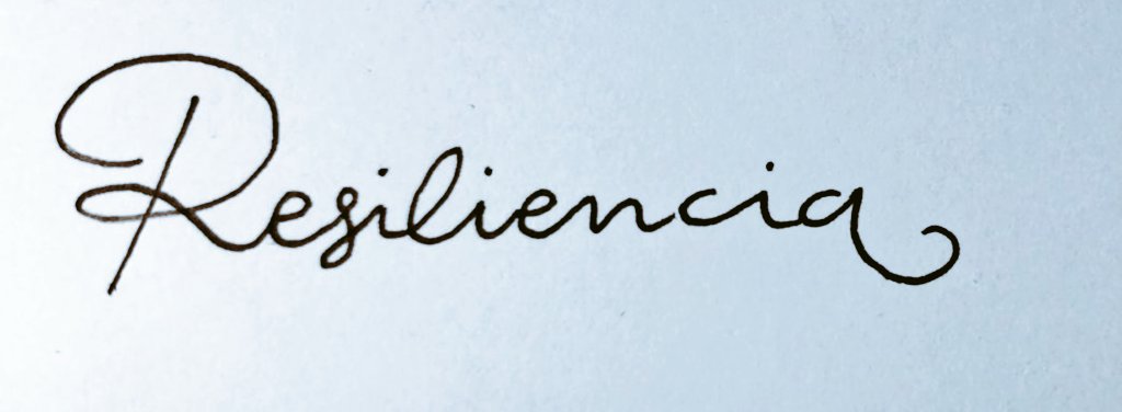 Alba Suárez tweet media