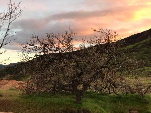 MichandYasu's tweet photo. Choose Experiencing Ease in 2020 - https://t.co/dyMp0npfBf https://t.co/kFiZ8rEVvD