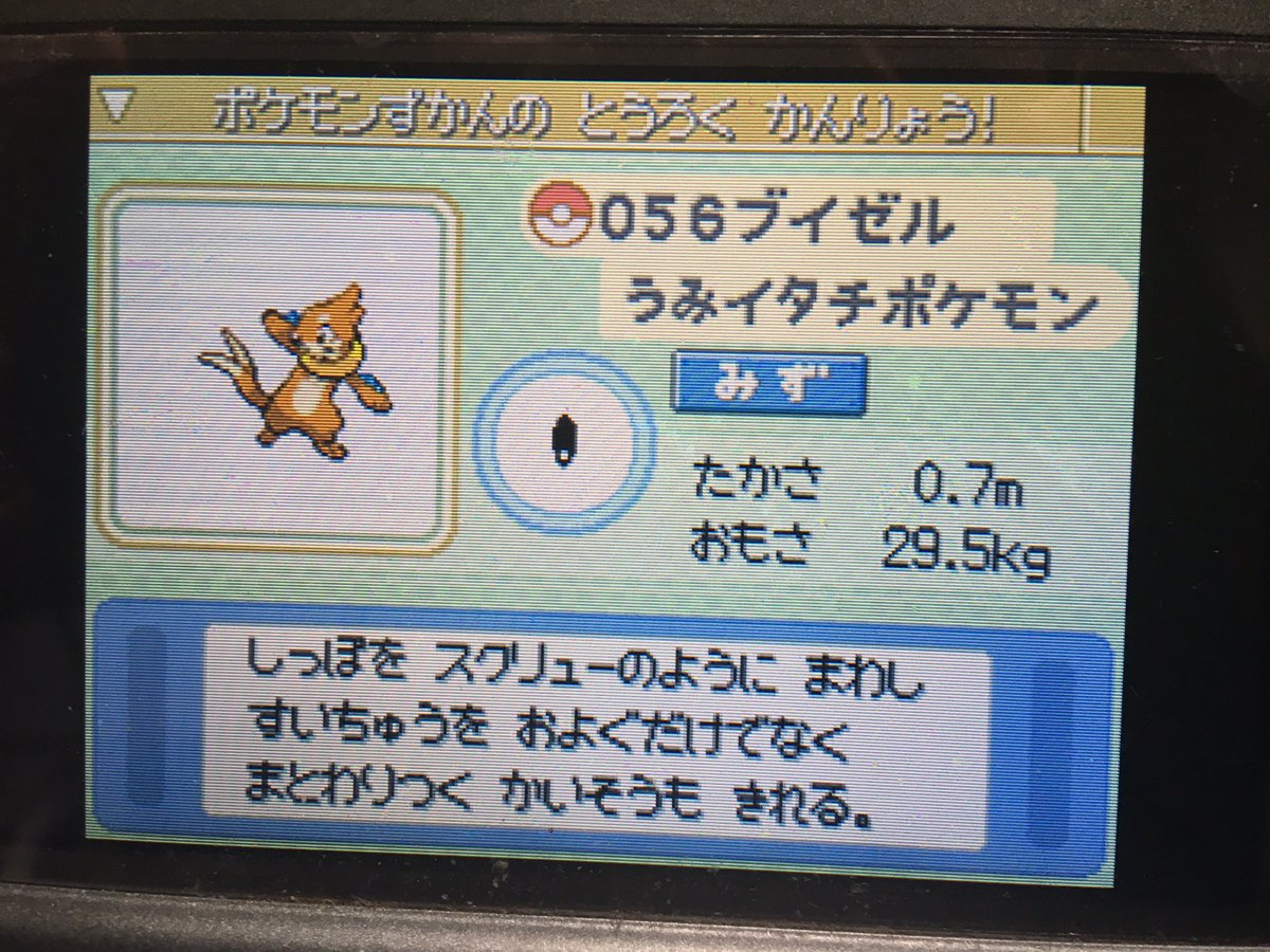 ベストポケモン プラチナ ブイゼル ただぬりえ