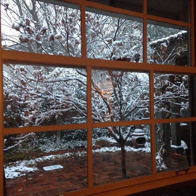 Lydia Rutledge-Bloom (@iamthelyds) | Twitter