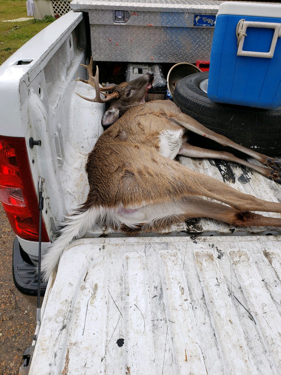 Novis007's tweet image. Got'em...