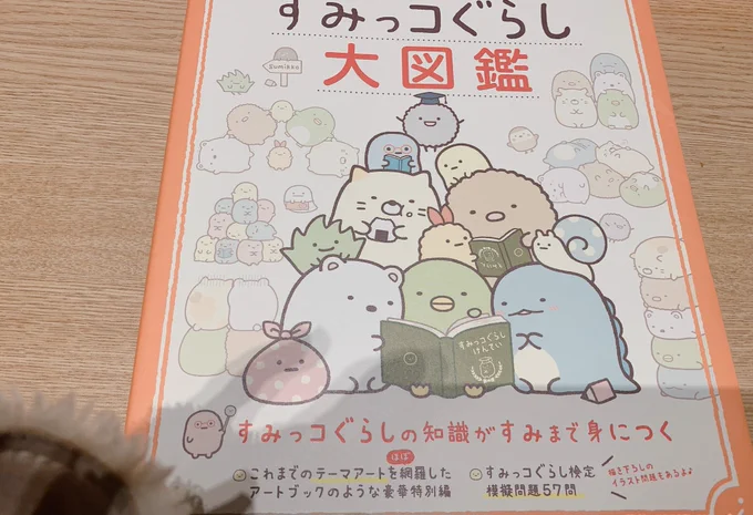 ほのぼのじーんといいお話しでした字の読めない子供に字幕読むのだったらダルいなあと思ってたけど殆どナレーションで読み聞かせみたいで子供も飽きる事なく楽しめた エンディングの原田知世さんの歌も優しくて綺麗。帰りにせがまれて買った図鑑#映画すみっコぐらし 