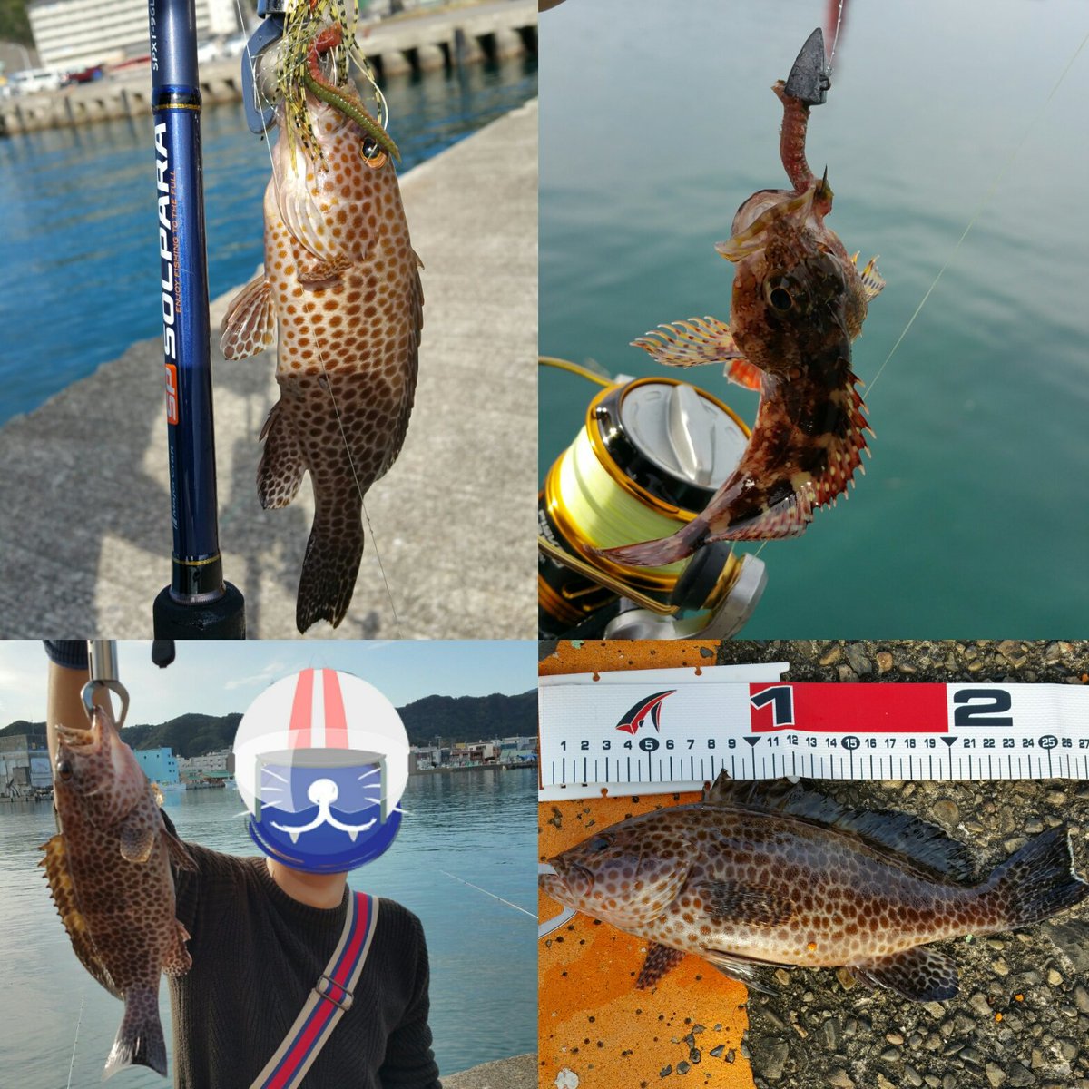 ジグラバースルー Twitter Search