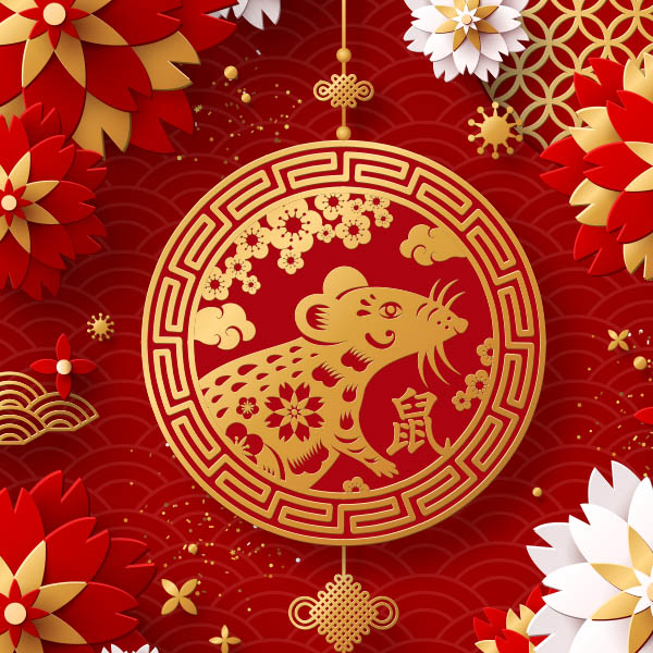 WokSoEver_Hull's tweet photo. Celebrate Chinese New Year with Woksoever. Book your table today in celebration of the Year Of The Rat. 🎉 #chinesenewyear #booktoday https://t.co/dzqNUF4Aai