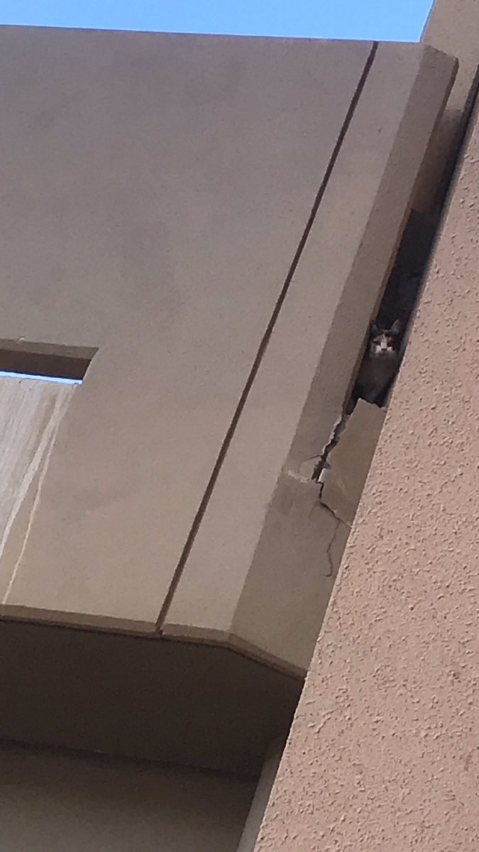 هذا القط عالق فوق بالمكان المرتفع هذا💔
دقيت على الدفاع ماحد رد!
شرايكم شسوي؟