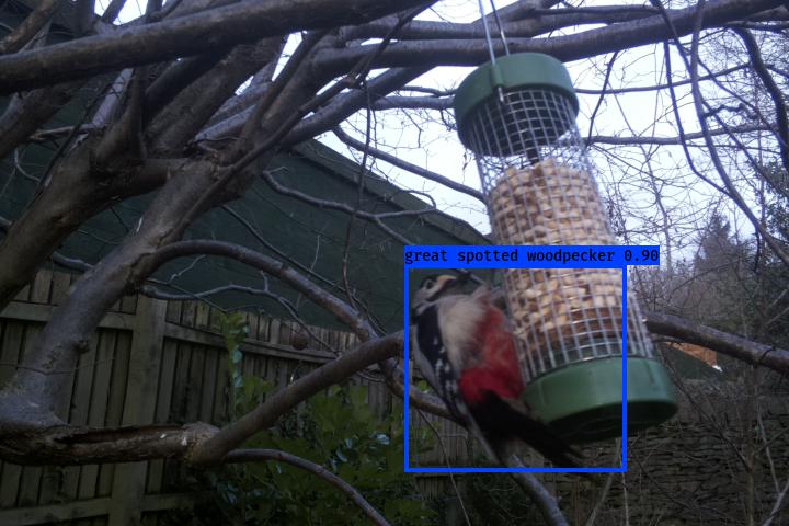 FlutterCams's tweet image. Finished an epic 60 hour training job with the new #Yolov3 #tensorflow model. We're looking in pretty good shape here!