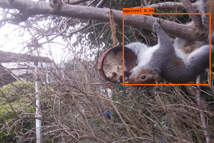 FlutterCams's tweet image. Finished an epic 60 hour training job with the new #Yolov3 #tensorflow model. We're looking in pretty good shape here!