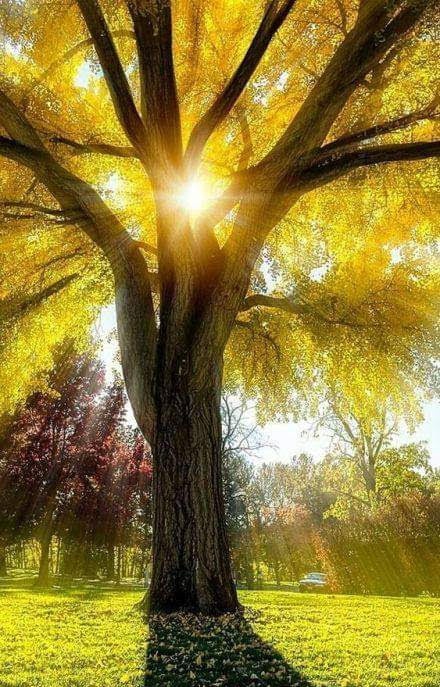 kallac_carta's tweet photo. Persone come il sole nelle giornate buie..
la fortuna per il nostro cuore.. https://t.co/JpywBNi0CM