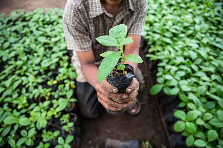 nicolesalido's tweet photo. This phenomena has been in the industry for many years but it is never too late for us to take an action. We can resolve this through simply segregating our wastes, multiplying trees by engaging tree planting activities, and to reduce our consumption of energy. https://t.co/lzPjd2z0bw