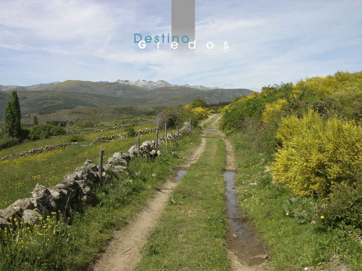 ¿Sabes lo que es el #PactoporlaRepoblación? Desde ahora vas a oír hablar mucho de él. No estamos dispuestos a rendirnos y que nuestros pueblos desaparezcan por la desidia de unos y el interés económico de otros. ¡Vamos a por todas! ¿Contamos contigo? Seguro que sí. @PRepoblacion