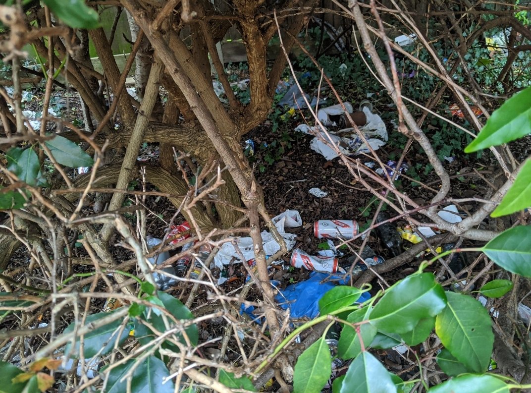 Naturally Royston tweet media