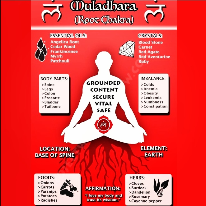 MissFanfan25's tweet image. #ChakraKnowledge 🧠 #FirstChakra #Muladhara #RootChakra ❤