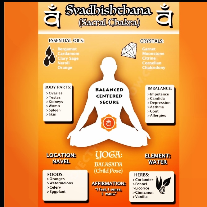 MissFanfan25's tweet image. #ChakraKnowledge 🧠 #SecondChakra #Svadhishthana #SacralChakra 🧡