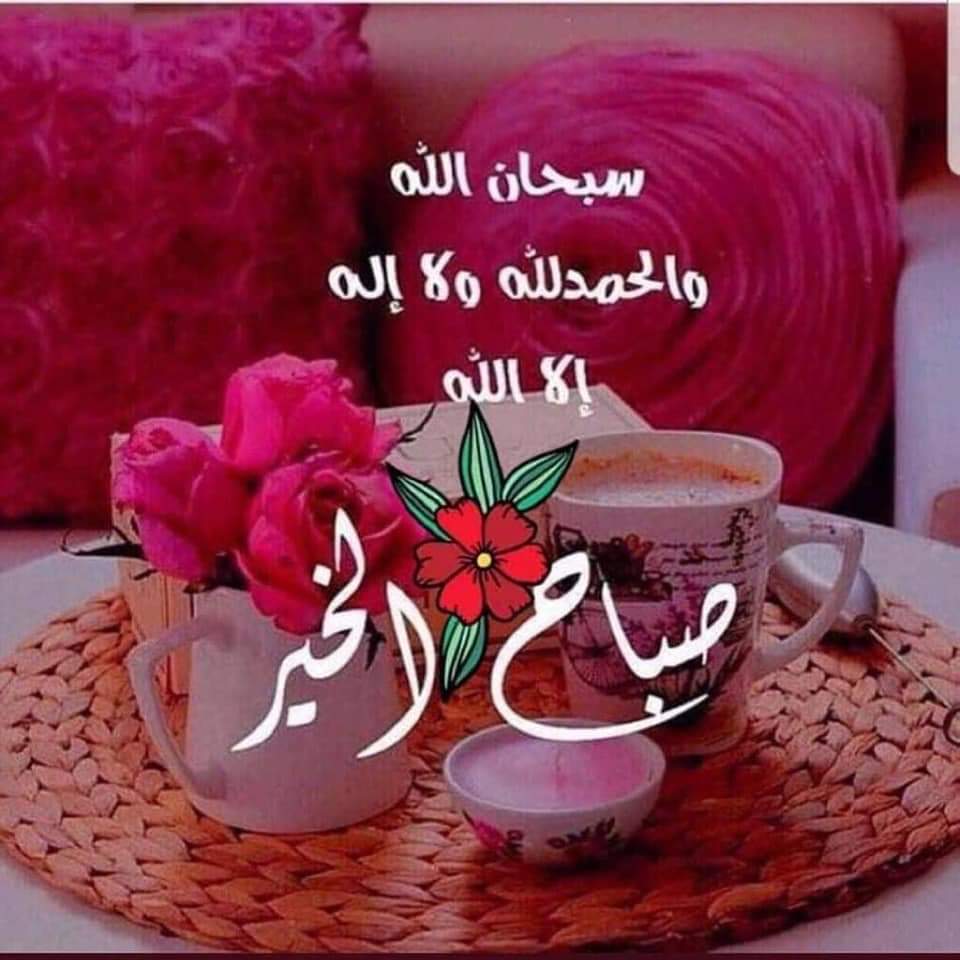 1zahra0's tweet photo. @K_adim313 اللــہــم عجــل لــولیڪ الفـــرج
ོ​••••┄༻ https://t.co/HyJU9qFYor