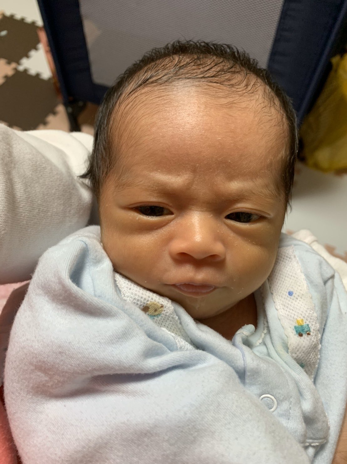吉村和弘 Kazuhiro Yoshimura Al Twitter 今年の全日本は髪色に注目してください 髪色の報告をしたら息子にこんな顔をされました 笑 T Co Hkurzguewy Twitter