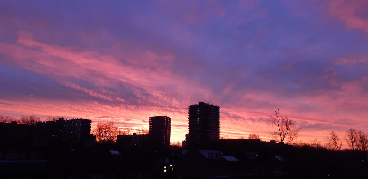 poststukken1's tweet photo. @GerritHiemstra Ochtendgloren Rotterdam Ommoord https://t.co/bG1Fc8y0kW