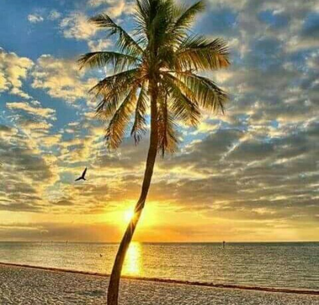 #goodmorning #FloridaSkies #saltlife #sunshine #ocean #relaxmode #Coast2Coast #cloudsdesign #seethelight #SaturdayMorning #beautifuldaytoall 🙃