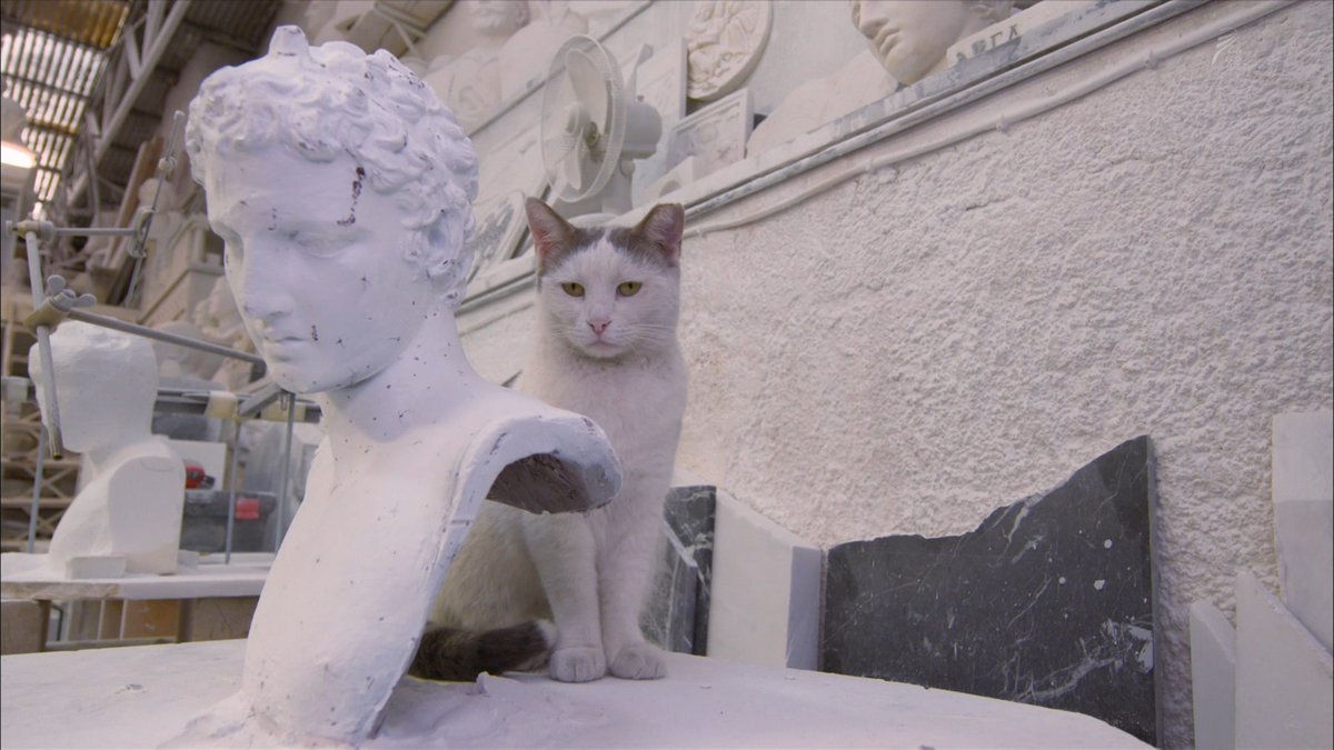 うっちゃり ふさふさ 昨日やってたネコ歩き新作 アテネ でゴールデンカムイの江渡貝くん家のネコにそっくりなのが出ていて某実況版がちょっと盛り上がったｗ