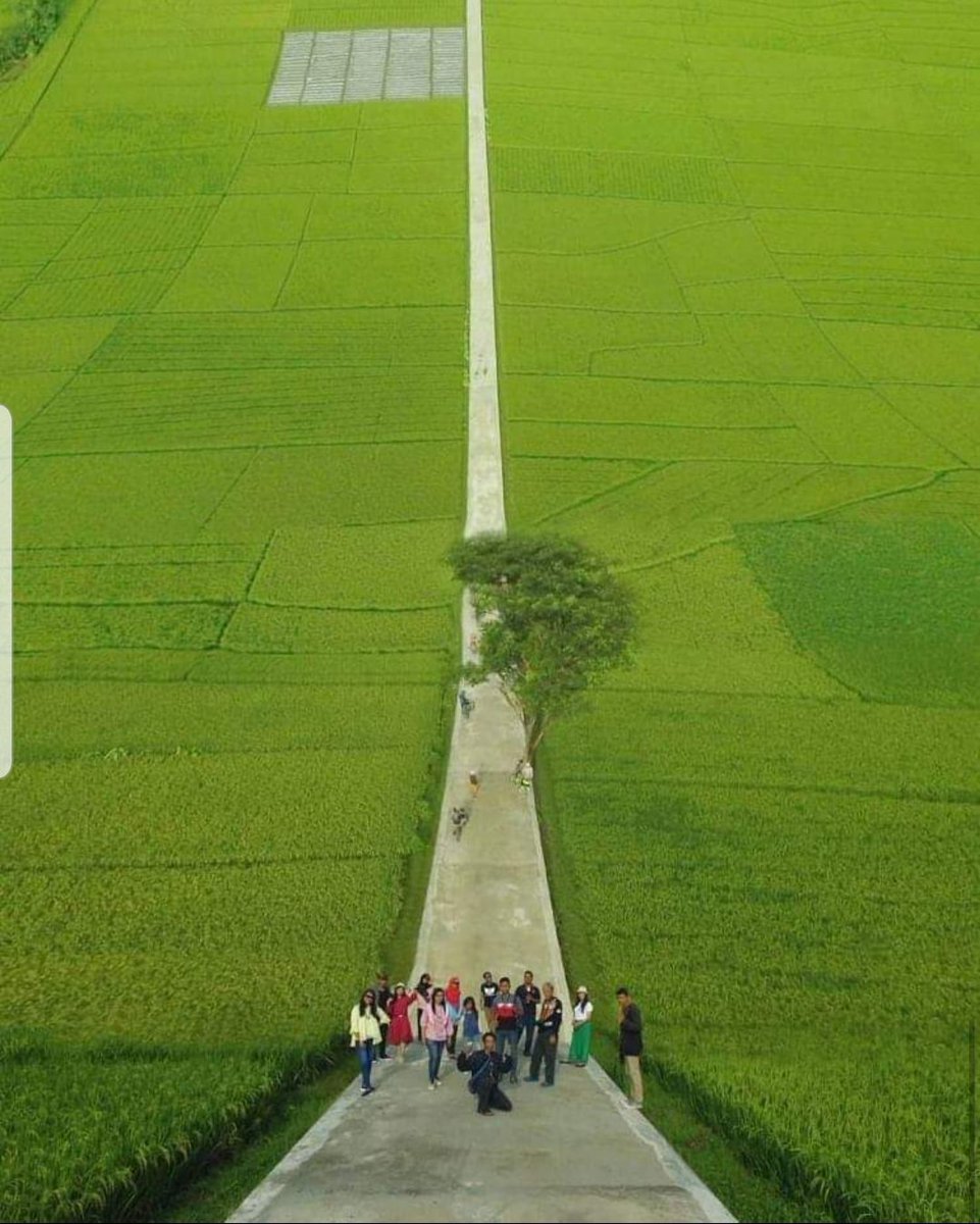 Strategi_Bisnis's tweet photo. Kirain di sebuah wilayah pedalaman Eropa. 

Jebule nang Kulonprogo. https://t.co/LFUizwukz8