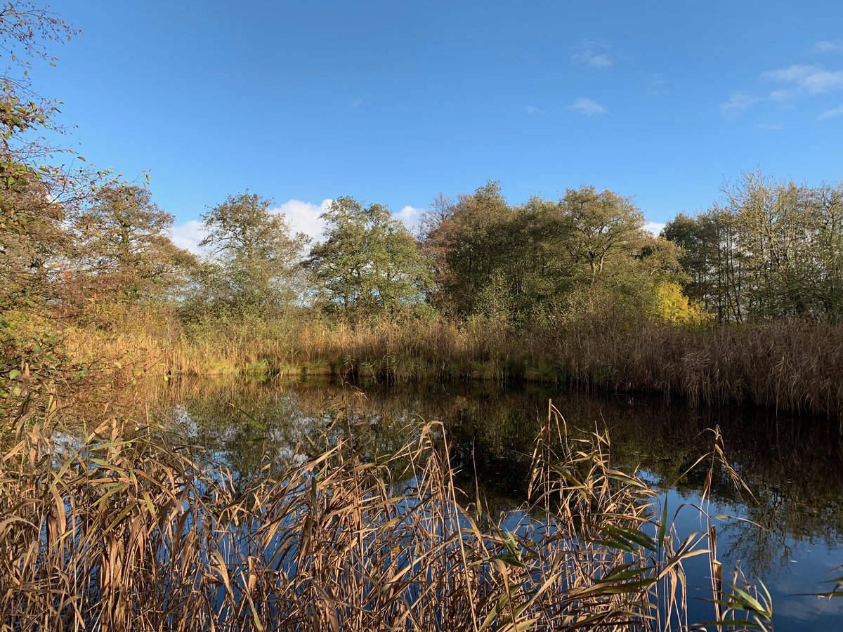 It's #HeritageTreasures day 2020! We're celebrating our Carlton Marshes Reserve - brand new trails and a fabulous visitor centre will be opening in a few months... #NationalLottery25