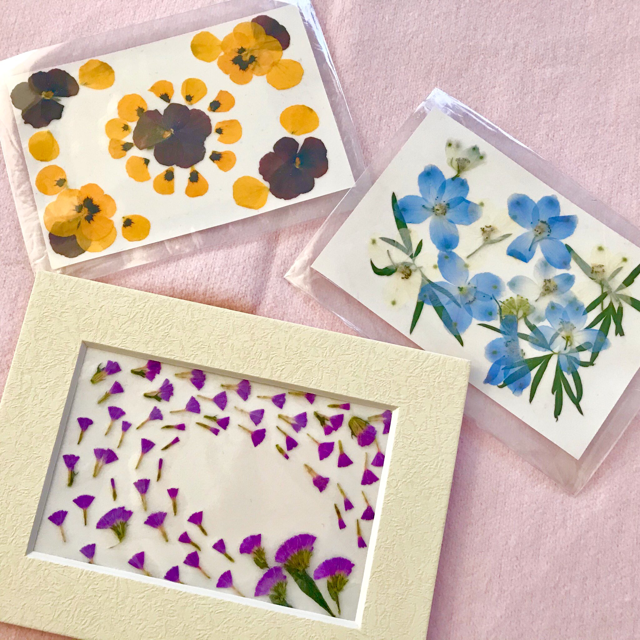 押し花サロン スイートアリッサム Pa Twitter 素敵な押し花雑貨いろいろ 右 お箸袋 アイロン接着和紙を使ってお箸袋に押し花を付けました 左 ハガキ額 ハガキ額は差し替えができるのでたくさん作って毎日入れ替えても楽しいですネ たくさんおしゃべりもして