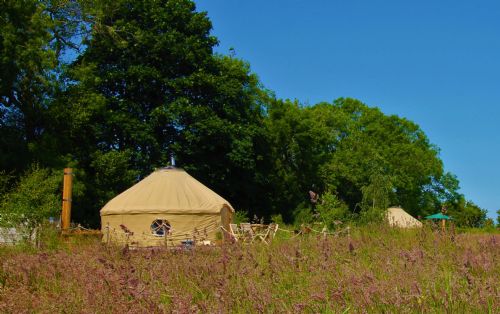 Yurtshire tweet media