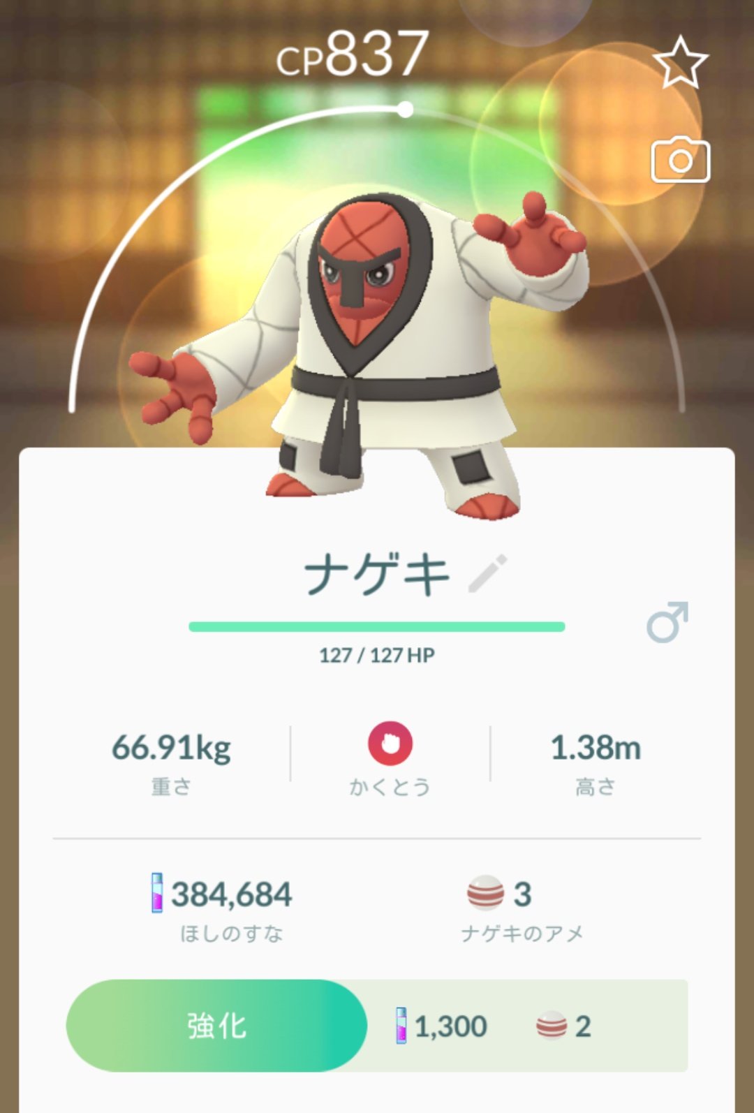 ユウキ 他人の幸せと色ポケ探しが好きなゴトン病患者 Twitterren そう言えばこのナゲキ 本当はこっちが海外限定になる筈で 実装ミスで30分しか湧かない激レアポケだったってマ ポケモンgo ナゲキ T Co Dllwpvp9zq Twitter