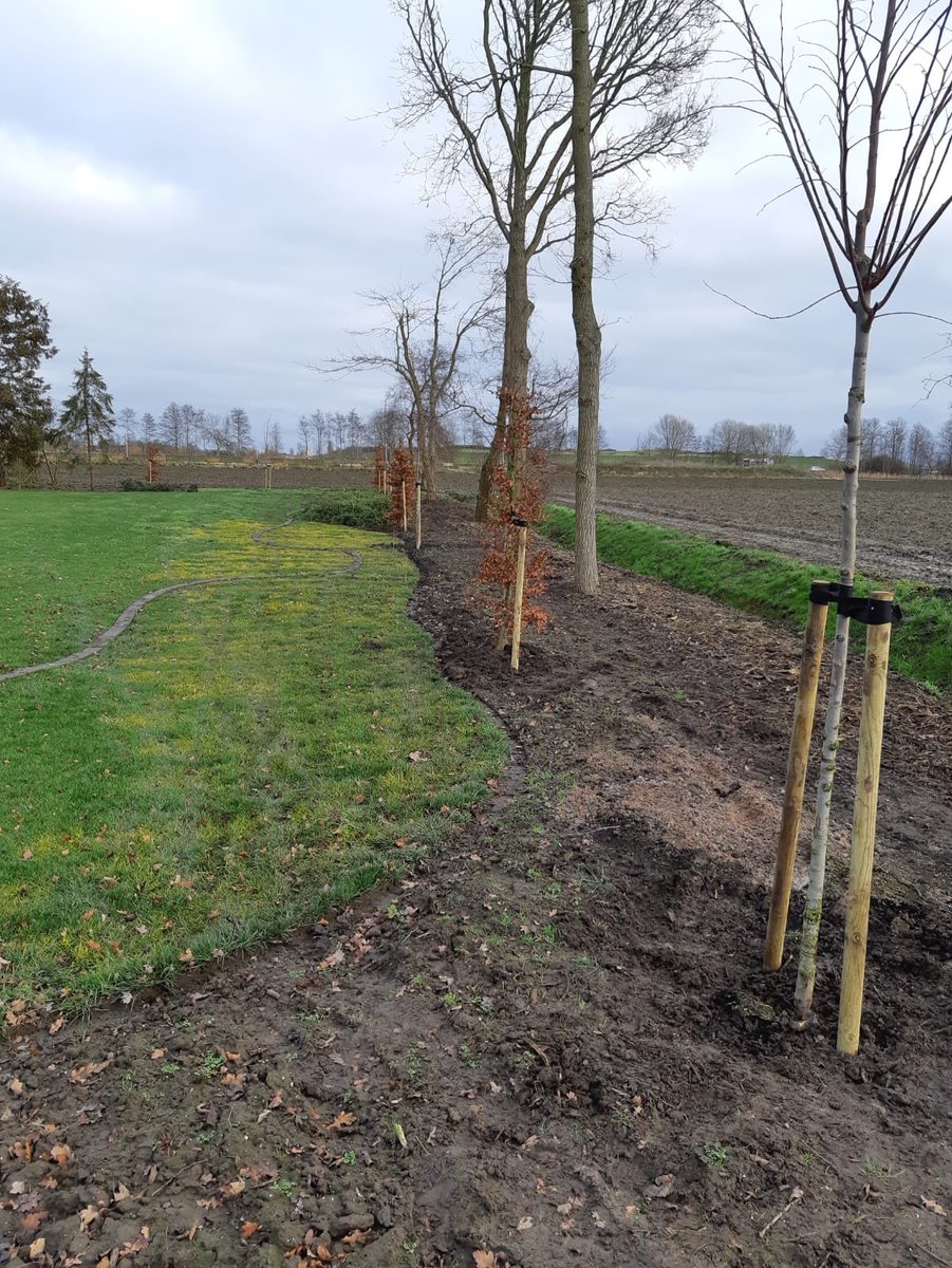 Aanplantproject. #boerenerveninhetgroen #landschapsbeheer #leveranierbeplanting #groen #grimme #luttelgeest